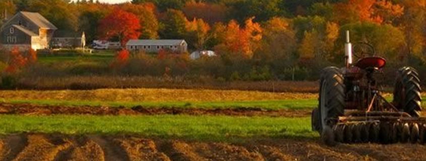 Mindful Agriculture